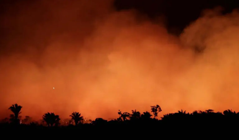 ಎಲ್ಲರೂ ಜೊತೆಗೂಡಿ ಆರಿಸಬೇಕಾದ ಅಮೆಜಾನ್ ಕಾಡಿನ ಬೆಂಕಿ…