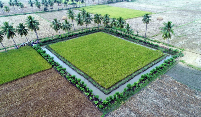 ಕೋಟಿ ರೂಪಾಯಿಗಳ ಶೂನ್ಯ ಬಂಡವಾಳದ ನೈಸರ್ಗಿಕ ಕೃಷಿಯಲ್ಲಿ ಬಲಪಂಥೀಯ ವಾದ ನುಸುಳುತ್ತಿದೆ