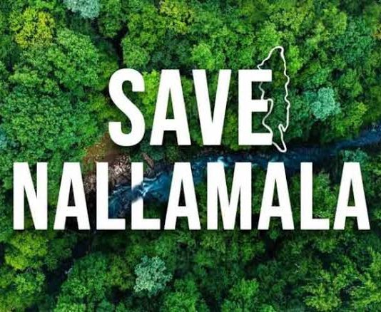 ಜನರ ಉಸಿರಾಗಿರುವ ಹಸಿರು ’ನಲ್ಲಮಲ’ ಕಾಡಿನ ಮೇಲೆ ಕೇಂದ್ರ, ರಾಜ್ಯ ಸರ್ಕಾರದ ಕೆಂಗಣ್ಣು..