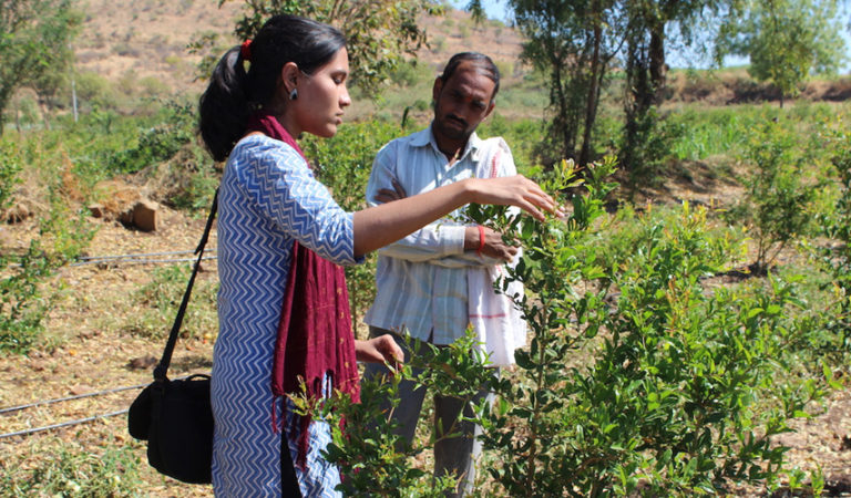 ಸಹಜ ಕೃಷಿ ಬೇಕೋ, ರಾಸಾಯನಿಕ ಕೃಷಿ ಬೇಕೋ? : ಭಾಗ 2
