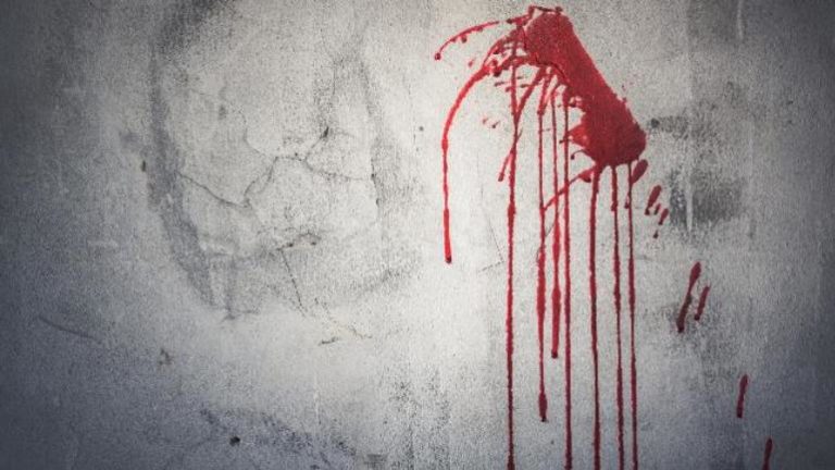 ಹರಿಯಾಣ: ಪತ್ನಿ ಮಕ್ಕಳನ್ನು ಕೊಲೆ ಮಾಡಿ ಪರಾರಿಯಾಗಿದ್ದ ಆರೋಪಿ ಬಂಧನ