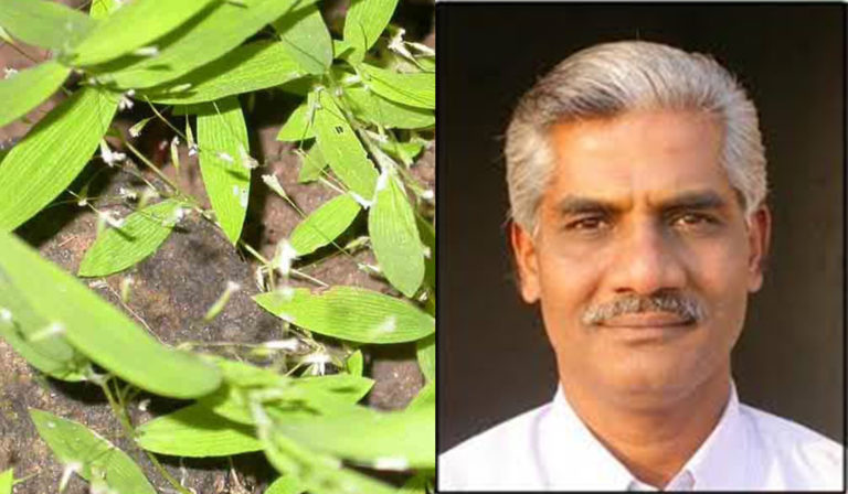 “ಜೋಗದ ಹುಲ್ಲಿನ ನಿತ್ಯೋತ್ಸವ”ಕ್ಕೆ ಬೀಜಬಿತ್ತಿದ ಪ್ರೊ. ಶ್ರೀರಂಗ ಯಾದವ್…