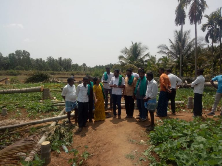 ತಿಪ್ಪೂರಿನಲ್ಲಿ ಅಡಿಕೆ ತೆಂಗು ಮರ ಕಡಿದ ಪ್ರಕರಣ: ಗ್ರಾಮ ಲೆಕ್ಕಿಗ ಮುರಳಿ  ಅಮಾನತು..