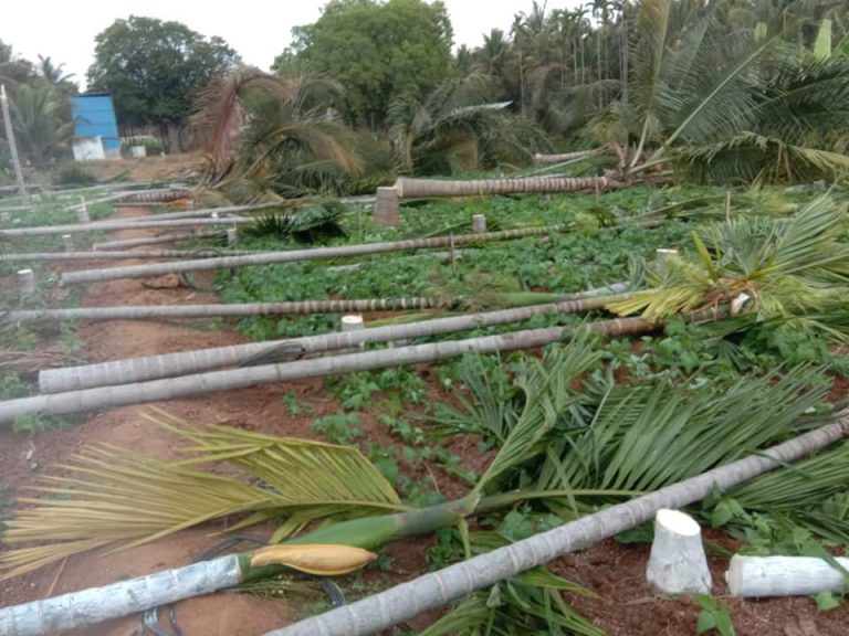 ಗ್ರಾಮ ಲೆಕ್ಕಿಗ, ಕಂದಾಯಾಧಿಕಾರಿ ಮಾಡಿದ ತಪ್ಪಿಗೆ ಅಮಾಯಕ ಮಹಿಳೆಯ ತೋಟ ನಾಶ ಮಾಡಿದ ತಹಶಿಲ್ದಾರ್‌: ವಿಡಿಯೋ ನೋಡಿ.