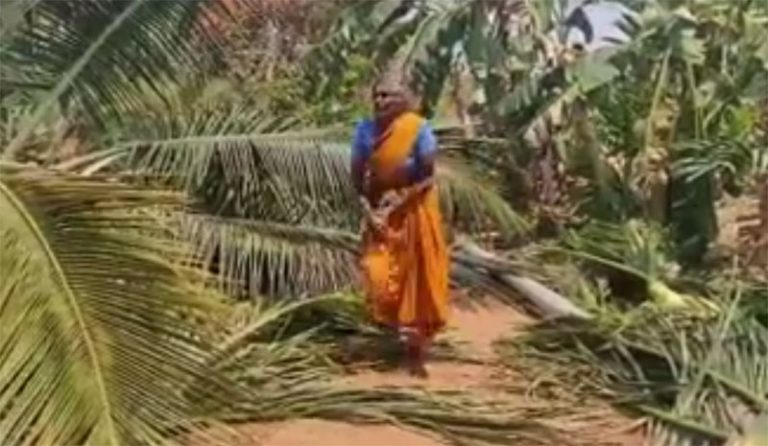 ಕಡಿದ ತೆಂಗು ಅಡಿಕೆ ಮರಗಳನ್ನು ಜಿಲ್ಲಾಧಿಕಾರಿ ಕಚೇರಿ ಮುಂದಿಟ್ಟು ಪ್ರತಿಭಟನೆ…