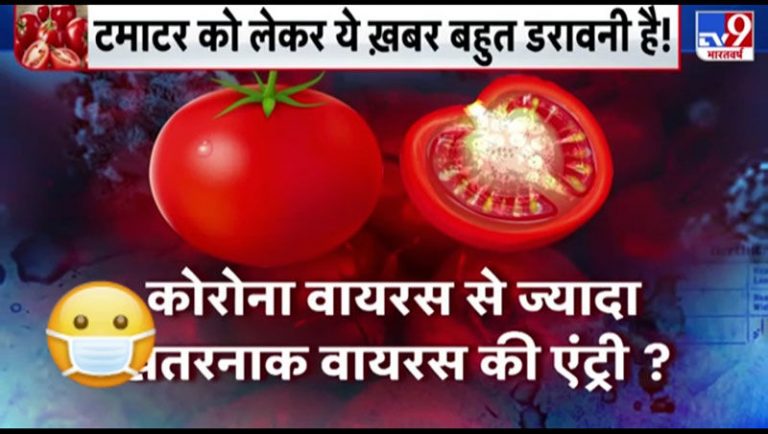 Factcheck: corona Deadly Virus in tomoto.. Do You Believe It?