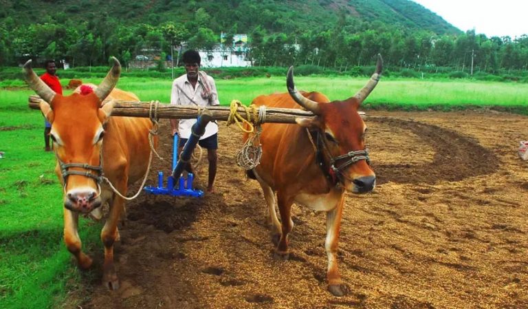 ನಮ್ಮ ಬೆನ್ನ ಹಿಂದೆ ನಡೆದ ಬೇಸಾಯೋ ಆಟ