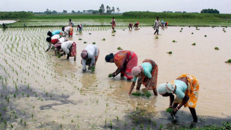 ಲಾಕ್ ಡೌನ್ ನಂತರದ ಪ್ರಥಮ ಆದ್ಯತೆ – ಕೃಷಿ ಮತ್ತು ಗ್ರಾಮೀಣ ವಲಯಗಳ ಪುನಶ್ಚೇತನ