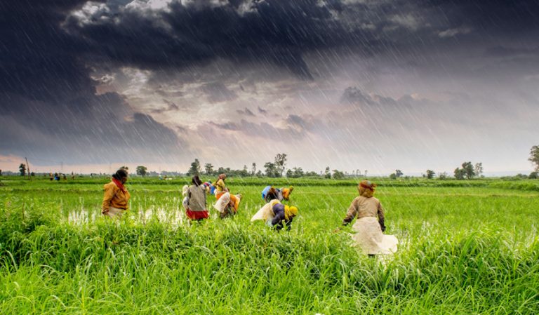 ಮೋದಿ 2.1ರ ಕೃಷಿ ಕ್ಷೇತ್ರ: ಅಂತಿಮ ಮೊಳೆ ಹೊಡೆಯುವ ಕೇಂದ್ರದ ಕಾಯಕಕ್ಕೆ ರಾಜ್ಯ ಸರ್ಕಾರಗಳೇ ಸರಬರಾಜುದಾರರು