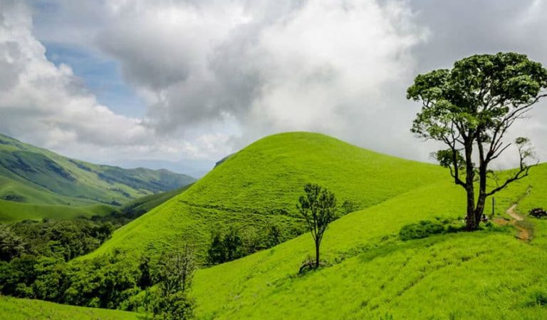 modi-2-1-environmental-disaster, modi's six years regime what is the impact of environment