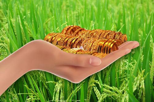 ಅಗ್ರಿಗೋಲ್ಡ್, 4% ಬಡ್ಡಿದರ, Yeddyurappa, ಯಡಿಯೂರಪ್ಪ, AgriGold scheme