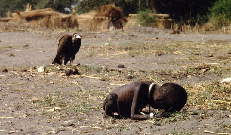 ರಣಹದ್ದು ಮತ್ತು ಪತ್ರಕರ್ತರು : ತಣ್ಣನೆ ಹೆಸರಿನ ಪುಣ್ಯಾತ್ಮ ಹಸೀ ಸುಳ್ಳನ್ನ ಸುಡು ಬಿಸಲಿನ್ಯಾಗ ಹೇಳಿದ್ದು…