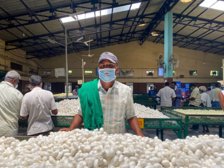 ಶೇ.50 ರಷ್ಟು ಬೆಲೆ ಕುಸಿತದಿಂದ ಸಂಕಷ್ಟದಲ್ಲಿ ರೇಷ್ಮೆ ಬೆಳೆಗಾರರು: ತಿರುಗಿ ನೋಡದ ಸರ್ಕಾರ