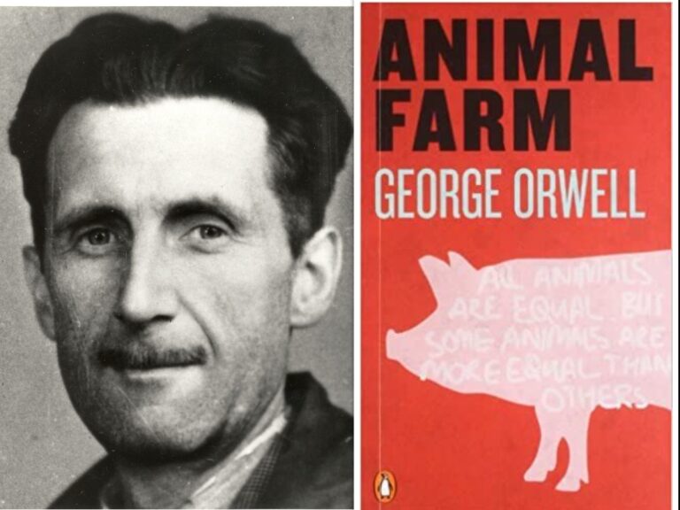 ಅನಿಮಲ್ ಫಾರ್ಮ್‌ ನೆನಪು ಮಾಡುವ ಸರ್ಕಾರದ ದಿನಕ್ಕೊಂದು ನಿಯಮಗಳು!