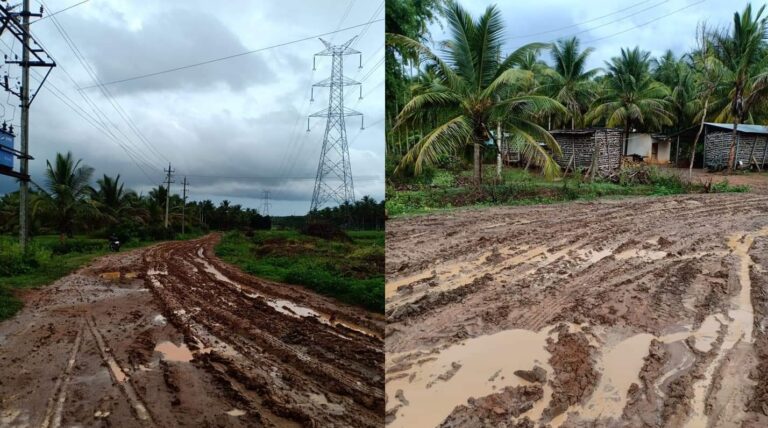 ಗದ್ದೆಯಂತಾದ ತುಮಕೂರಿನ ಪೆರುಮನಹಳ್ಳಿ ರಸ್ತೆ; ಜನರ ಗೋಳು ಕೇಳೋರೇ ಇಲ್ಲ
