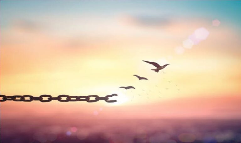 ಗೌಹರ್ ರಾಜ಼ ಅವರ ‘ಮೈ ಲಾರ್ಡ್’ ಕನ್ನಡಾನುವಾದ