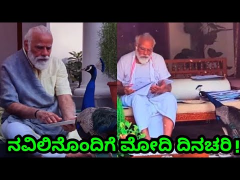 ನವಿಲಿಗಳೊಂದಿಗೆ ಮೋದಿ ವೀಡಿಯೋ: ಸಾಮಾಜಿಕ ಮಾದ್ಯಮಗಳಲ್ಲಿ ಟ್ರೆಂಡಿಂಗ್!