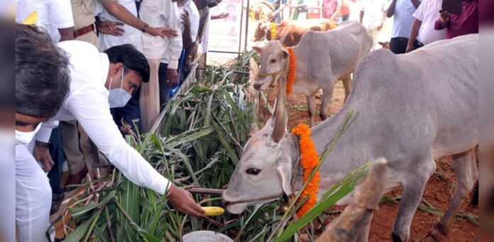 ಸುಧಾಕರ್‌