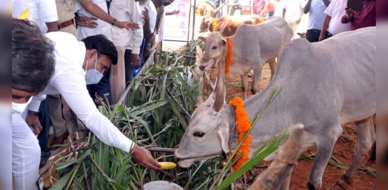 ಸುಧಾಕರ್‌