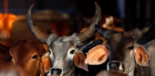 ಗೋಹತ್ಯೆ