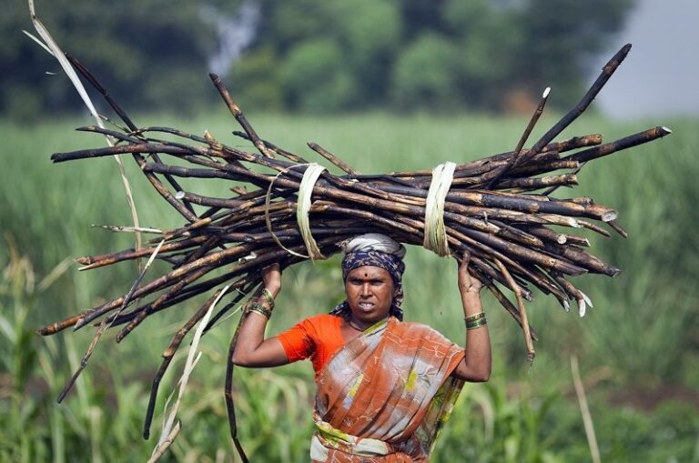 ಮಹಿಳಾ ರೈತರ ಹಿತದೃಷ್ಟಿಗೆ ಮಾರಕವಾದ ಕೃಷಿ ಕಾಯ್ದೆಗಳು
