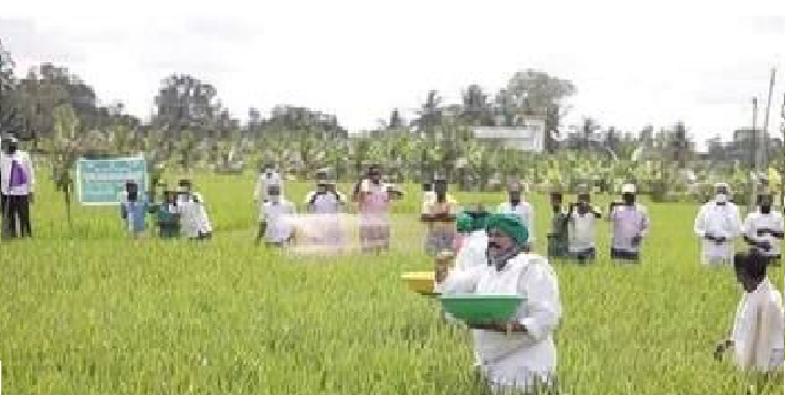 ’ತಾನೂ ಕೃಷಿಕ’ ಎಂದು ಫೋಟೊ ಫೋಸು ನೀಡಿ ಹಾಸ್ಯಕ್ಕೊಳಗಾದ ಕೃಷಿ ಸಚಿವ ಬಿ.ಸಿ. ಪಾಟಿಲ್!