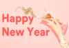 ಹೊಸ ವರ್ಷ ಆಚರಣೆ ನಿಷೇಧ: ಗುರುವಾರ ಮಧ್ಯಾಹ್ನದಿಂದ ಶಕ್ರವಾರ ಬೆಳಿಗ್ಗೆ ತನಕ ಕರ್ಫ್ಯೂ