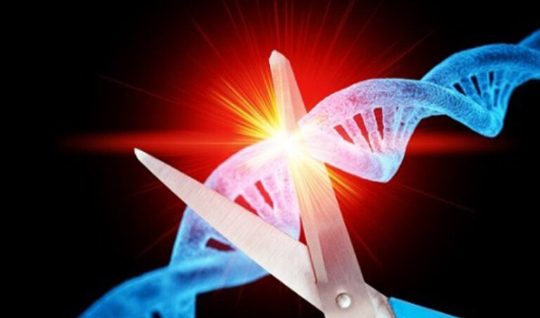 ಹೊಸ ವರುಷದ ಆವಿಷ್ಕಾರಗಳ ನಿರೀಕ್ಷೆಯಲ್ಲಿ, ಹಳೆ ವರುಷದ ವಿಜ್ಞಾನ ಕಸುವಿನ ನೆನಪುಗಳು