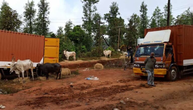 ಗೋಹತ್ಯೆ