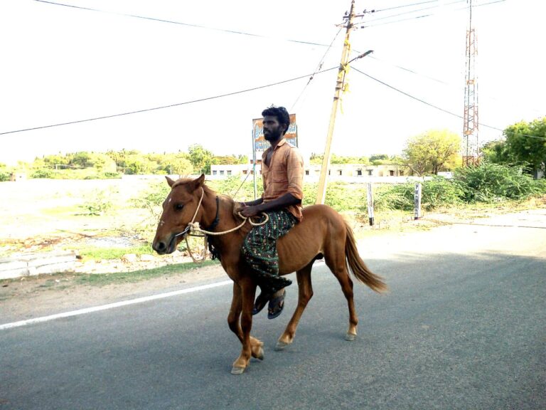 ಪೆಟ್ರೋಲ್, ಡೀಸೆಲ್ ಬೆಲೆ ದಿಢೀರ್ ಏರಿಕೆ: ಕತ್ತೆ, ಕುದುರೆ ಮೊರೆ ಹೋದ ಜನತೆ