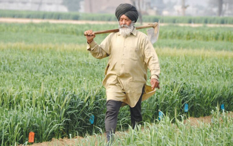 ಪಂಜಾಬಿ ರೈತರ ಸಿರಿತನದ ಹಿಂದಿನ ಗುಟ್ಟೇನು?; ರಾಜಮೋಹನ್ ಗಾಂಧಿ ಅವರ ಪುಸ್ತಕದಿಂದ..