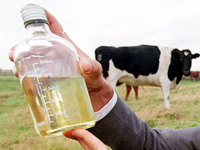 ಈ ರಾಜ್ಯದಲ್ಲಿ ಸರ್ಕಾರಿ ಕಛೇರಿಗಳನ್ನು ಸ್ವಚ್ಚಗೊಳಿಸಲು ಇನ್ನುಮುಂದೆ ಗೋಮೂತ್ರ ಬಳಕೆ: ಆದೇಶ