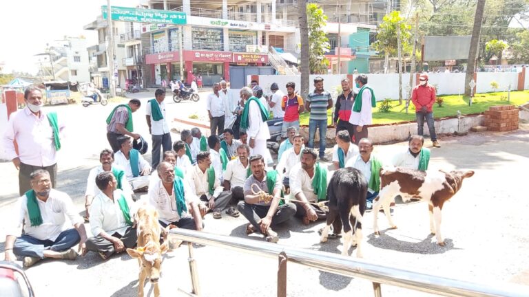 ಗೋಹತ್ಯೆ ನಿಷೇಧ ಕಾಯ್ದೆಗೆ ವಿರೋಧ: ಗಂಡು ಕರುಗಳೊಂದಿಗೆ ಠಾಣೆಗೆ ಮುತ್ತಿಗೆ ಹಾಕಿದ ರೈತರು!