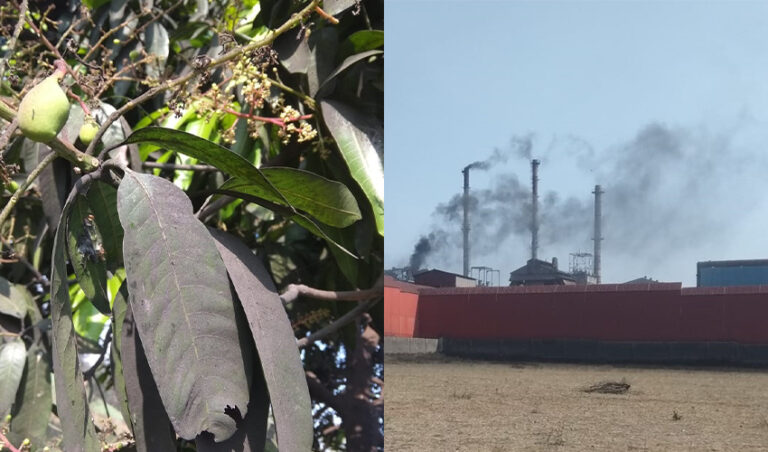 ಕೊಪ್ಪಳ: ಹಾರುಬೂದಿಗೆ ಕಂಗೆಟ್ಟ ಜನ – ತಲೆ ಕೆಡಿಸಿಕೊಳ್ಳದ ಅಧಿಕಾರಿಗಳು