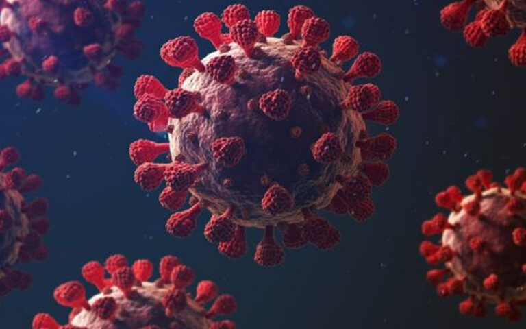 ಮೈಸೂರಿನಲ್ಲಿ ಡೆಲ್ಟಾ ಪ್ಲಸ್​ ರೂಪಾಂತರಿ ಪತ್ತೆ: ಸಚಿವ ಸುಧಾಕರ್ ಮಾಹಿತಿ