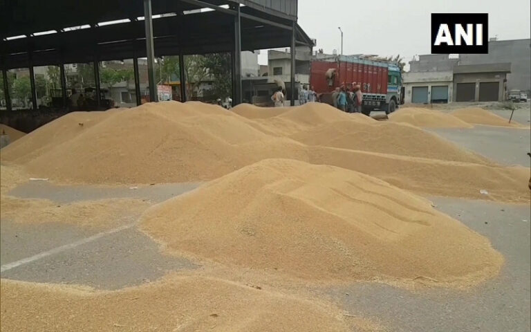 ಪಂಜಾಬ್‌ನ ಮಂಡಿ ಆವರಣದಲ್ಲಿ ಗಾಳಿ, ಮಳೆಯಲ್ಲಿ ರೈತರ ಬೆಳೆಗಳು, ವ್ಯವಸ್ಥೆ ಸರಿಯಾಗಿದೆ ಎಂದ ಸಚಿವ!