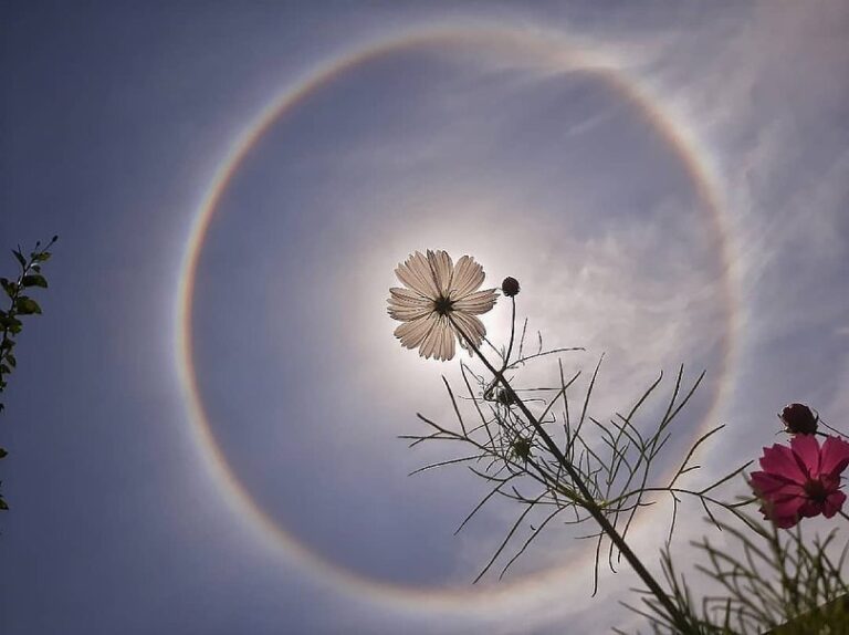 ಬೆಳ್ಳಿ ಚುಕ್ಕಿ: ನೀವು ಕಂಡಿರೇ ನೀವೂ ಕಂಡಿರೇ ಬಣ್ಣದುಂಗುರವಾ?