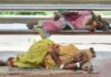 ಮೋದಿ ಸರ್ಕಾರ ಭಾರತ ಮಾತೆಯ ಎದೆ ಬಗೆಯುತ್ತಿದೆ: ರಾಹುಲ್ ಗಾಂಧಿ ಆಕ್ರೋಶ | Naanu gauri