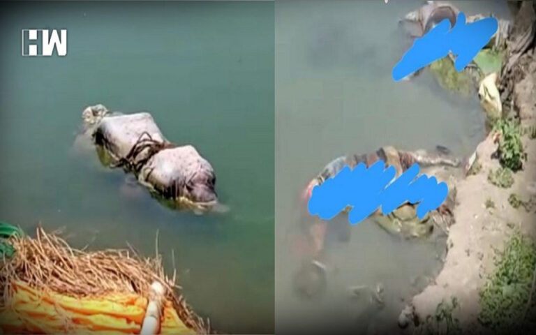 ಗಂಗಾ ನದಿಯಲ್ಲಿ ಮೃತದೇಹಗಳ ಹರಿವು: ನದಿಗೆ ಅಡ್ಡಲಾಗಿ ಬಲೆ ಹಾಕಿದ ಅಧಿಕಾರಿಗಳು