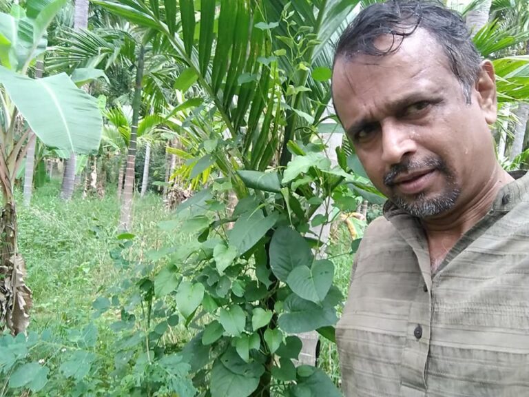 ನಮ್ಮ ತೋಟದ ಸಾಲಿಗೆ ನೀವೂ ಬನ್ನಿ-4: ಸಹಜ ಕೃಷಿ ಅಲ್ಲ, ಉಳುಮೆ ಇಲ್ಲದ ತೋಟ ನಮ್ಮದು