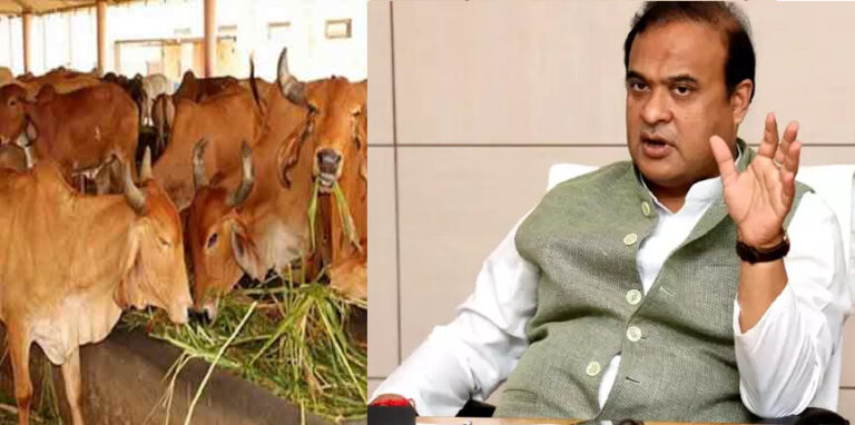 ಅಸ್ಸಾಂನಲ್ಲಿ ಗೋಹತ್ಯೆ, ಸಾಗಣಿಕೆಗೆ ತಡೆ: ಮಸೂದೆ ಮಂಡಿಸಿದ ಸಿಎಂ ಹಿಮಂತ ಬಿಸ್ವಾ