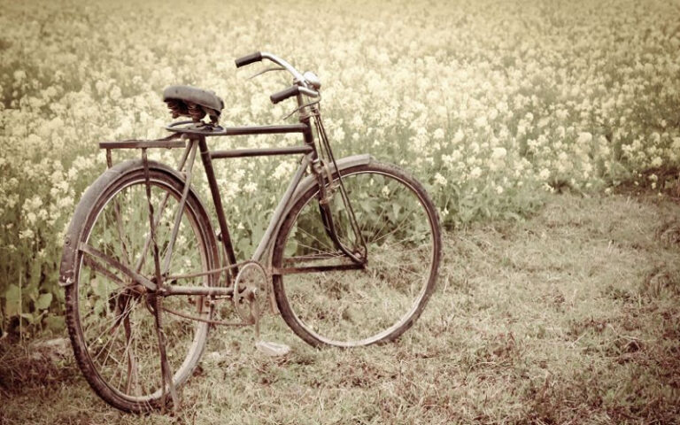 ಜಾರ್ಖಂಡ್‌: ಮಗನಿಗಾಗಿ ಸೈಕಲ್‌ನಲ್ಲಿ 400 ಕಿ.ಮೀ ಪ್ರಯಾಣ ಮಾಡುತ್ತಿದ್ದ ತಂದೆ, ನೆರವಾದ ಬೆಂಗಳೂರಿನ ಸಂಸ್ಥೆ