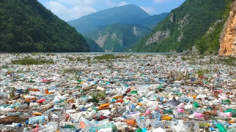 International Plastic Bag Free Day| ಪ್ಲಾಸ್ಟಿಕ್ ಅಥವಾ ಪರಿಸರ? ಆಯ್ಕೆ ನಮ್ಮದು!