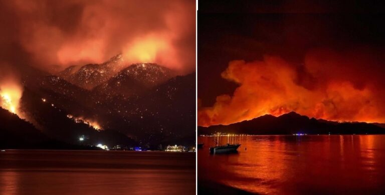 ಹೊತ್ತಿ ಉರಿದ ಟರ್ಕಿ - ಕಾಡ್ಗಿಚ್ಚಿನಿಂದಾಗಿ ಸಾವಿಗೀಡಾದವರ ಸಂಖ್ಯೆ 8 ಕ್ಕೆ ಏರಿಕೆ | Naanu gauri