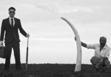 ‘ಮೊದಲು ಆಕಾಶ ಈಗ ನಿಂತ ನೆಲವನ್ನೂ ಕಸಿಯುತ್ತಿದ್ದಾರೆ!’; ಫ್ಲೈಯಿಂಗ್‌ ಎಲಿಫೆಂಟ್ಸ್‌ ಕಿರು ಚಿತ್ರ