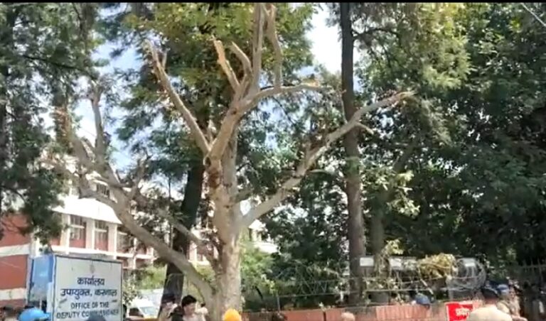 ವಿಡಿಯೊ➤ಪ್ರತಿಭಟನಾ ನಿರತ ರೈತರಿಗೆ ನೆರಳು ನೀಡುತ್ತಿದ್ದ ಮರಗಳ ಕೊಂಬೆ ಕತ್ತರಿಸಿದ ಬಿಜೆಪಿ ಸರ್ಕಾರ | NaanuGauri