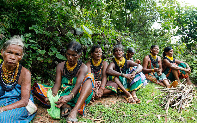 ಬುಡಕಟ್ಟು ಹಾಲಕ್ಕಿ ಒಕ್ಕಲಿಗರನ್ನು ಎಸ್‌‌ಟಿಗೆ ಸೇರಿಸಲು ಅಡ್ಡಗಾಲು ಹಾಕುತ್ತಿರುವುದು ಯಾರು?
