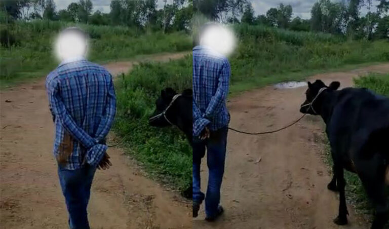 ಮಂಡ್ಯದಲ್ಲಿ ಅಮಾನವೀಯ ಜಾತಿ ದೌರ್ಜನ್ಯ: ದಲಿತ ಯುವಕನ ಮೇಲೆ ಹಲ್ಲೆ, ಹಸುವಿಗೆ ಕಟ್ಟಿ ಮೆರವಣಿಗೆ