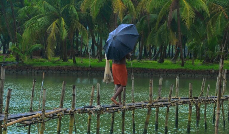 ರಾಜ್ಯದ ಕರಾವಳಿ ಸೇರಿದಂತೆ ದಕ್ಷಿಣ ಭಾರತದಲ್ಲಿ ನವೆಂಬರ್‌ 18 ವರೆಗೆ ‘ಭಾರಿ ಮಳೆ’ ಎಚ್ಚರಿಕೆ | Naanu Gauri