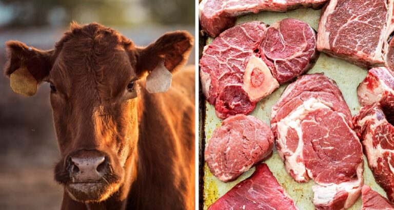 ‘ಗೋವು ತಿಂದು ಗೋವಿನ೦ತಾದವನು’ - ಎನ್‌.ಕೆ. ಹನುಮಂತಯ್ಯ | Naanu gauri